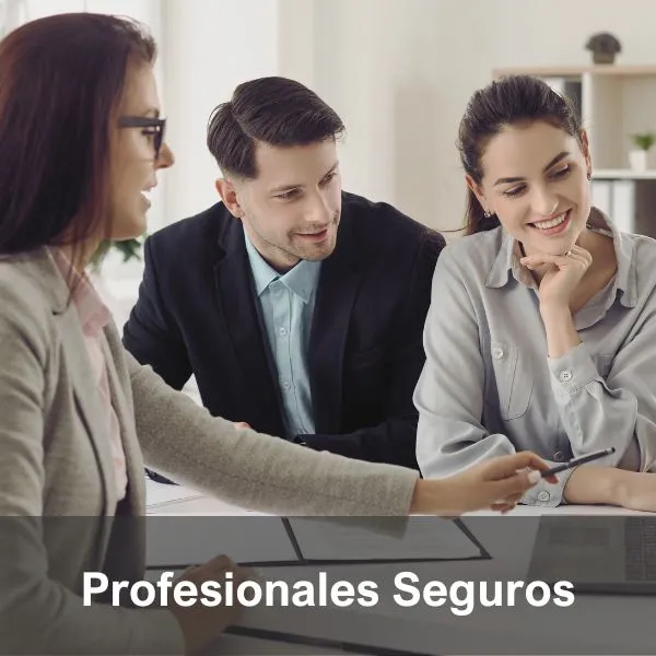 V01-SWF-SITIO-MOD-NEG-B2P-PROF-SEGUROS-SWF V01-SWF-SITIO-MOD-NEG-B2P-PROF-SEGUROS-SWF